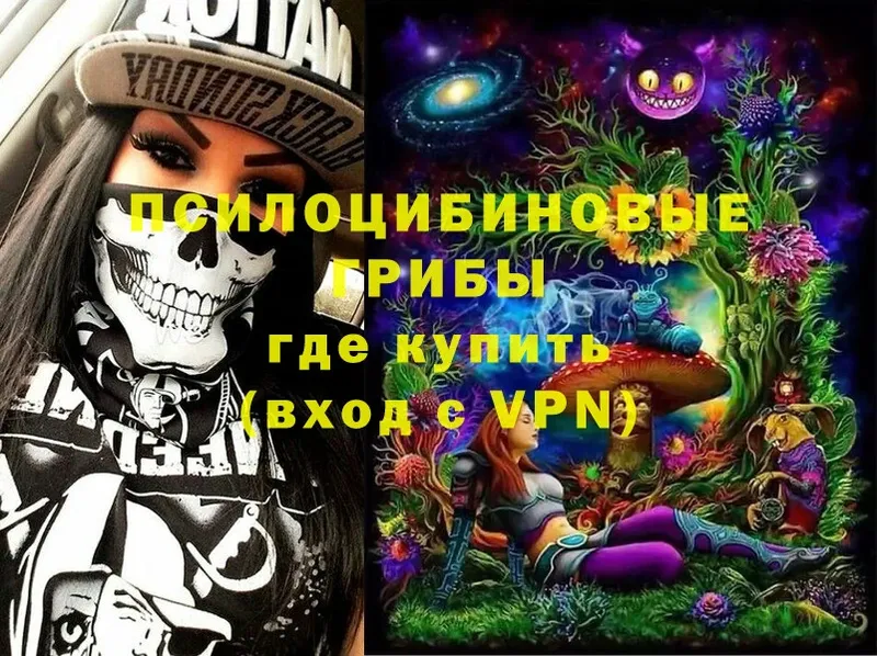 Галлюциногенные грибы Psilocybine cubensis  закладки  блэк спрут ссылка  Норильск 